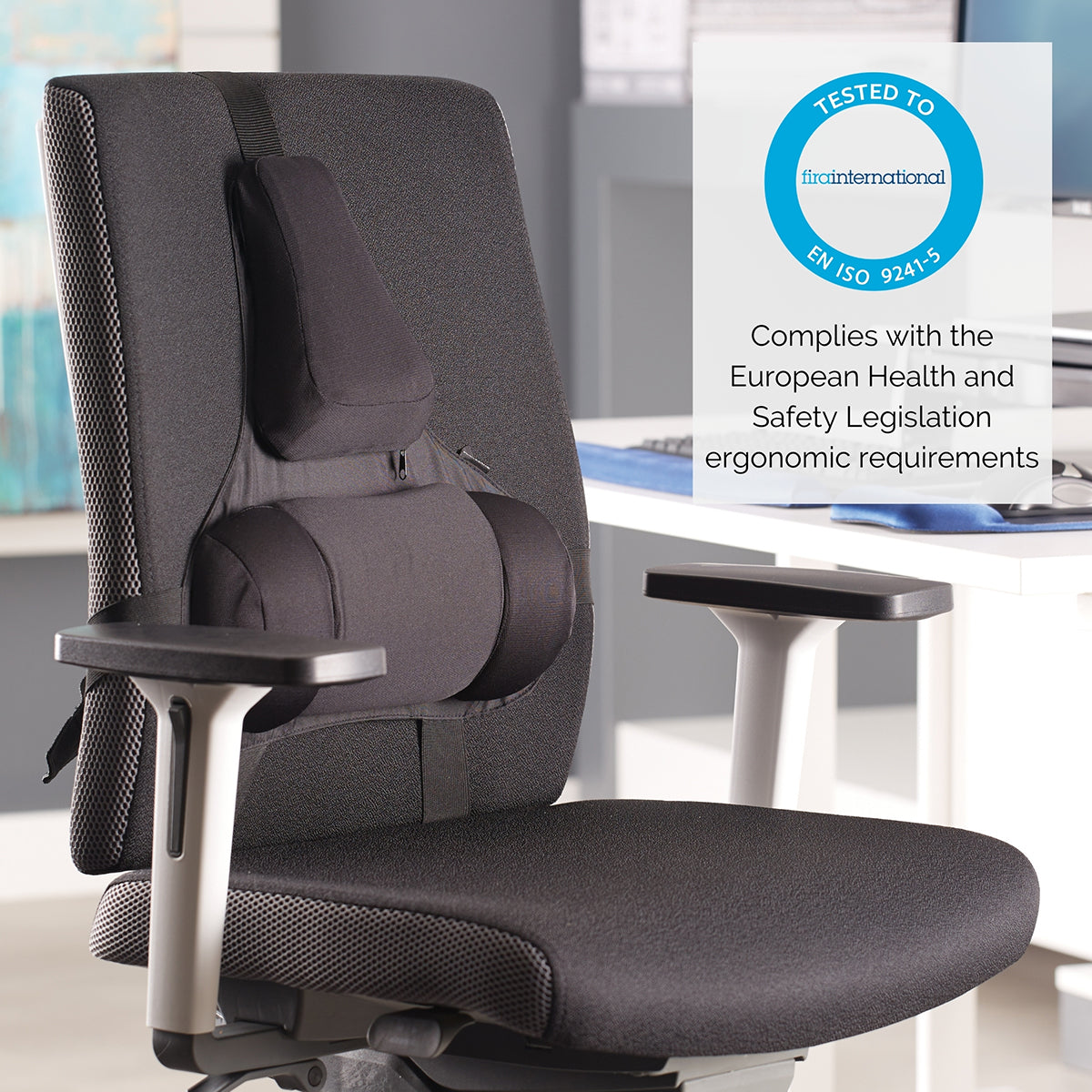 Fellowes Svankstöd + Korsryggstöd Professional