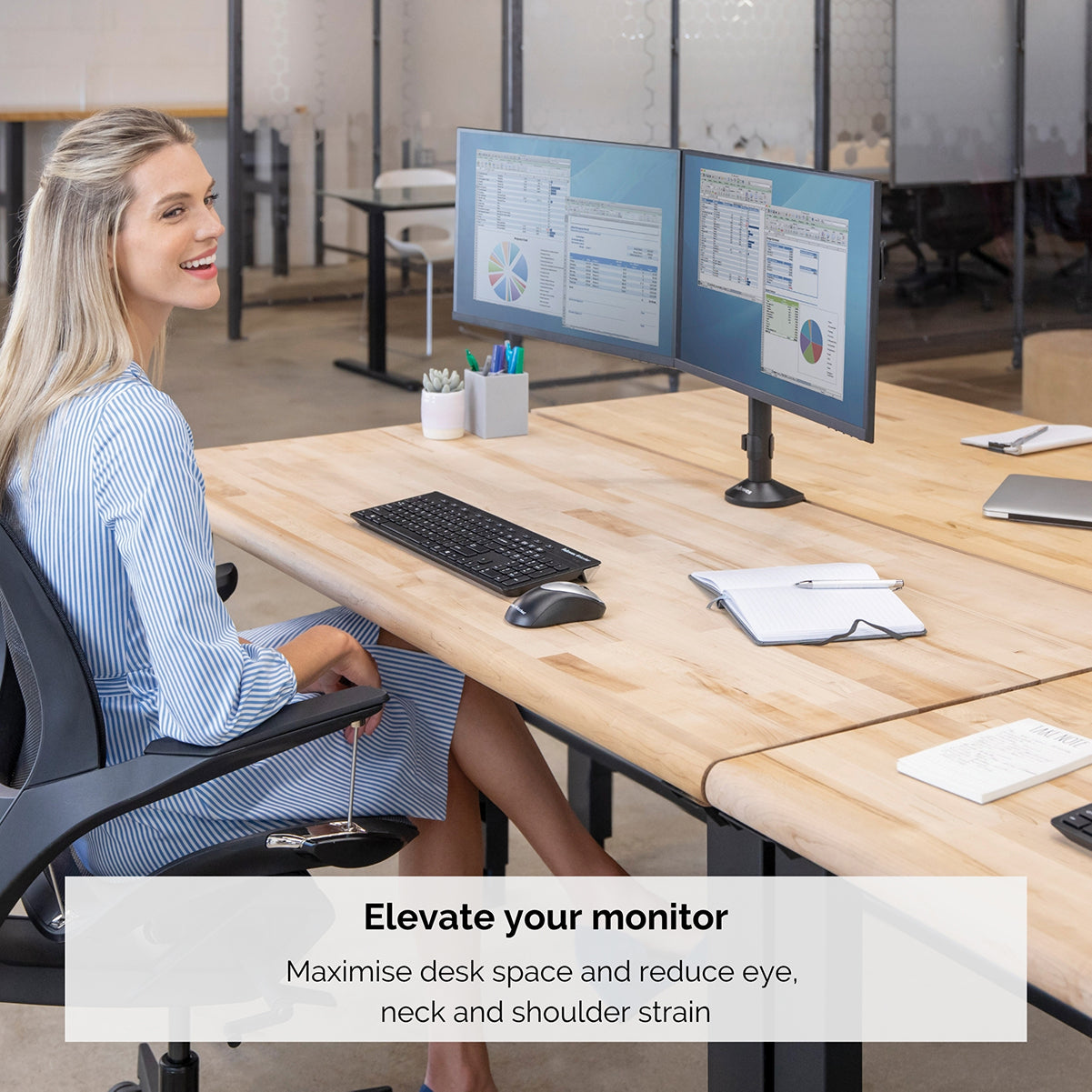 Fellowes Monitorarm Reflex Dubbel