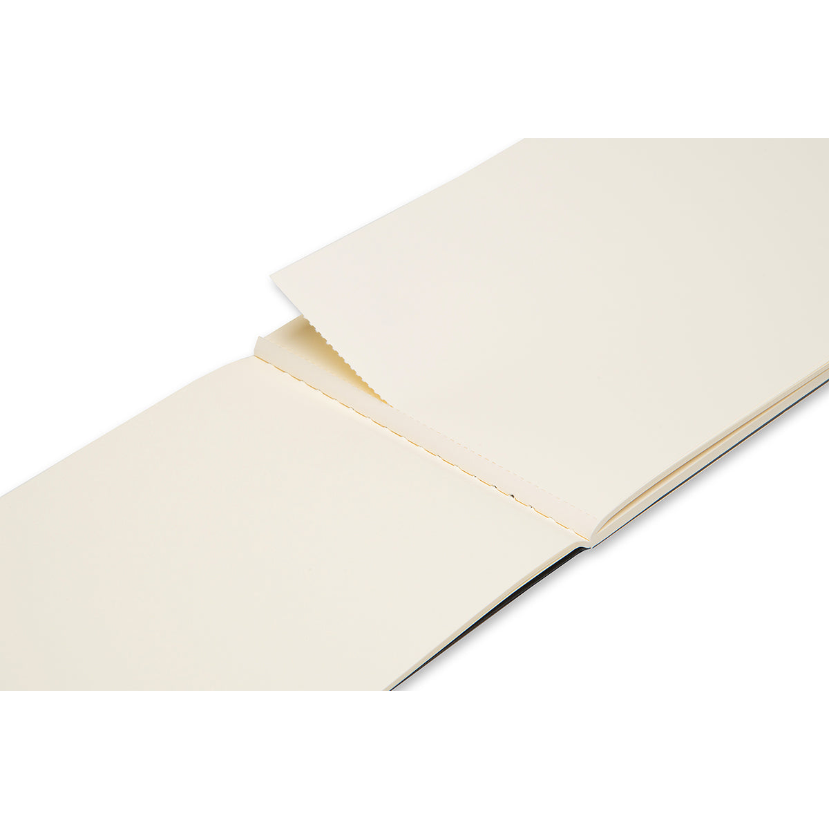 Moleskine Skissalbum Art Collection Large Svart