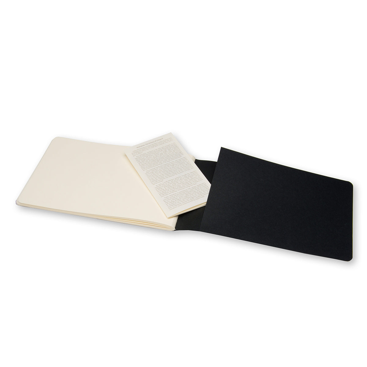 Moleskine Skissalbum Art Collection Large Svart
