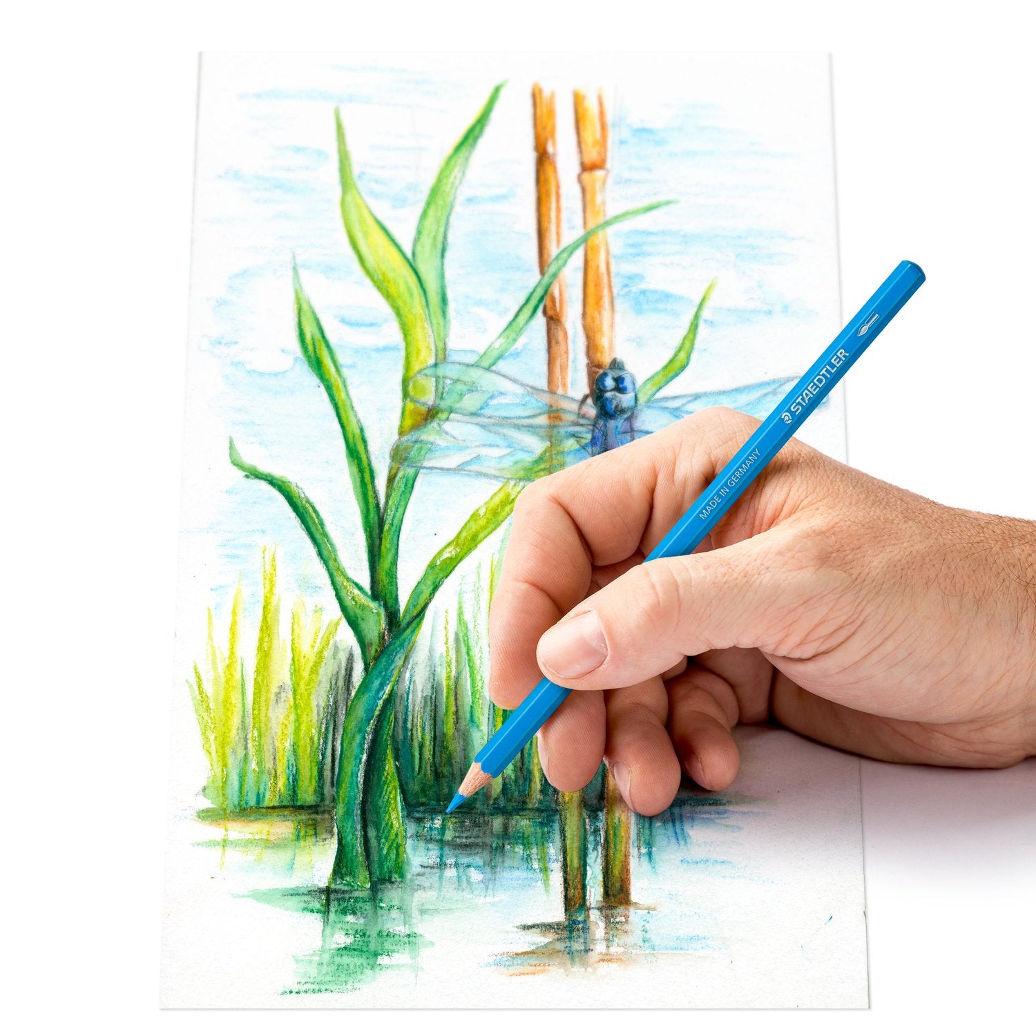 Staedtler Färgblyertspennor Akvarell Assorterade 12/fp